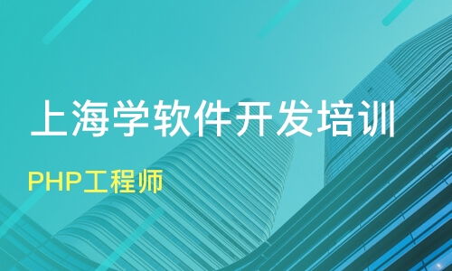 上海輕紡市場(chǎng)周邊軟件開(kāi)發(fā)培訓(xùn)指南 課程、機(jī)構(gòu)與人工智能新趨勢(shì)